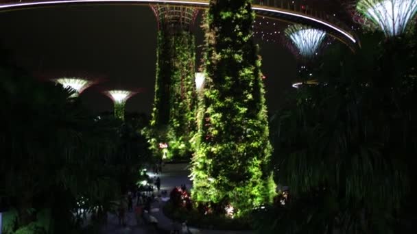 Singapore April 2018 Night Supertree Grove Its Skybridge Gardens Bay — Stok video