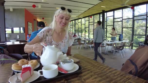 Cameron Highlands Malaysia 2023 Boh Tea Centre Juga Menampilkan Sebuah — Stok Video