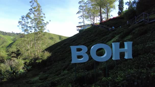 Cameron Highlands Малайзия 2023 Boh Tea Centre Чайная Плантация Расположенная — стоковое видео