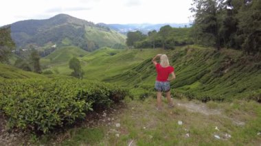 Tourist woman looking scenic views on tea plantation of Cameron Highlands in Malaysia. World highest quality tea leaves. Tea fields cover acres and consist of rolling hills and lush green tea bushes.