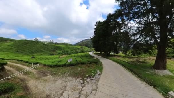 Malaysian Cameron Highlands Tea Plantations Aerial View Featuring Worlds Finest — Stockvideo