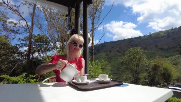 Girl Traveler Enjoying Tea Biscuits While Admiring Scenic Landscape Tea — Vídeos de Stock