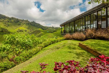 Cameron Highlands, Malaysia - 2023: BOH Tea Centre is a tea farm situated in Cameron Highlands, renowned for its delightful teas and stunning vistas. It is one of the major tea growers in Malaysia.
