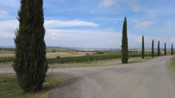 Toscana Italia Álamos Carretera Rural Montalcino Pueblo Vitivinícola Campiña Italiana — Vídeo de stock