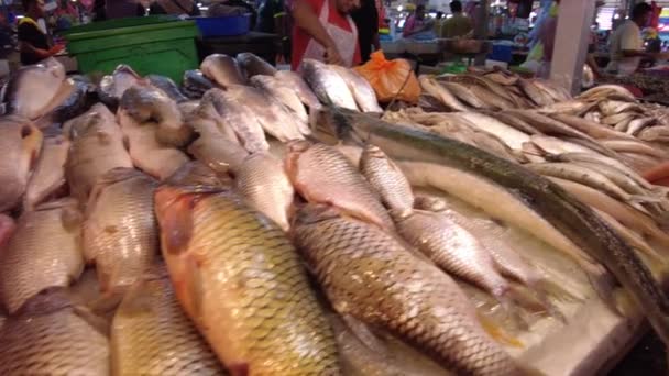 马来西亚吉隆坡 2023年1月 鱼类市场的游客在购买传统亚洲商品和支持当地经济的同时 可以体验吉隆坡充满活力的街头生活和文化 — 图库视频影像