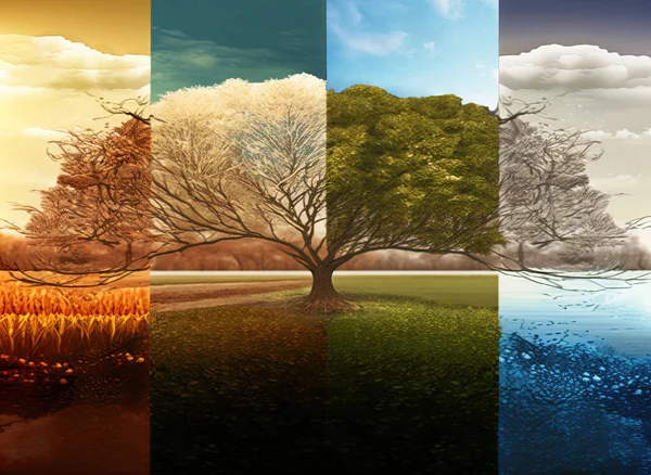 Four Seasons in an abstract tree, a composite collage of four images of the same tree in blooming spring, in the snow of winter, in the summer sun, and in autumn foliage.