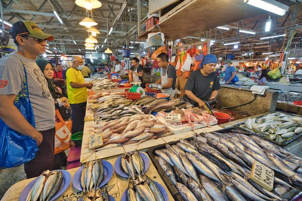 Kuala Lumpur Malaysia Jan 2023 Visitors Fish Market Can Experience — Stock Photo, Image