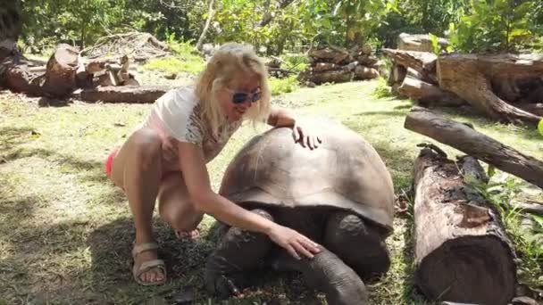 Seychelles Turtle Sanctuary Una Turista Donna Interagisce Con Una Tartaruga — Video Stock