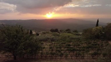 İtalyan kırsalındaki Montalcino kasabasında ve Toskana-Emilian apeninlerinde geniş bir teraslı üzüm bağları manzarası. İtalya 'nın şarap bölgesinin bağları. Günbatımında İtalya 'nın Toskana bölgesi.