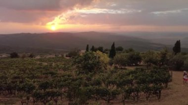 Gün batımında Toskana-Emilian apeninlerindeki Tuscany şarapçı köyü Montalcino 'nun teraslı üzüm bağları arasındaki hava manzarası. İtalyan kırsal bölgesi ve ünlü şarap tatma bölgesi. İtalya 'nın Toskana bölgesi