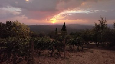 Tuscany, İtalya-Ekim 2021: Tuscan-Emilian apeninlerindeki Montalcino şarapçılık köyünün teraslı üzüm bağları. İtalyan kırsal bölgesi ve ünlü şarap tatma bölgesi. Günbatımında İtalya 'nın Toskana bölgesi.