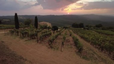 Üzüm bağları teraslarında seyahat tatili. İtalya 'nın Toskana kentindeki Montalcino kasabasında gün batımında panoramik manzara.