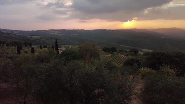 Resor Semester Vingården Terrasser Vid Solnedgången Panoramalandskap Vid Solnedgången Montalcino — Stockvideo