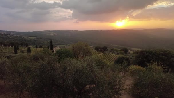 Toskana Italien Okt 2021 Panorama Sonnenuntergang Über Terrassenförmig Angelegten Weinbergen — Stockvideo
