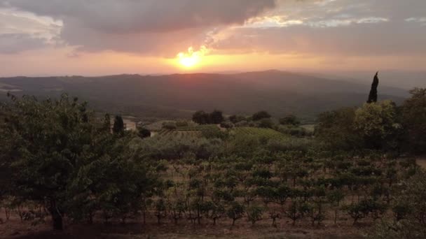 Breed Panorama Van Terrasvormige Wijngaarden Wijnbouwstad Montalcino Het Italiaanse Platteland — Stockvideo