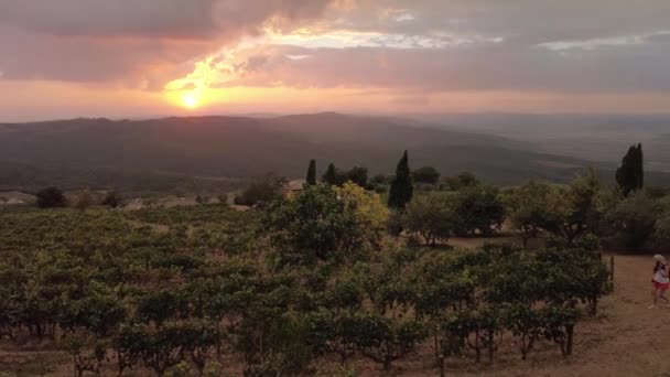 Paisaje Aéreo Entre Viñedos Terrazas Del Pueblo Vitivinícola Toscana Montalcino — Vídeo de stock