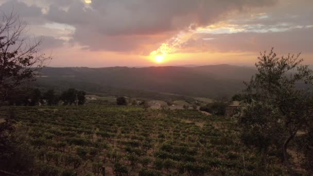 Toscana Italien Vineyard Terrassfält Montalcino Vinodlingsby Den Italienska Landsbygden Vid — Stockvideo