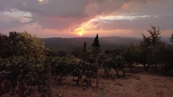 Toscana Italia Ott 2021 Vigneti Terrazzati Aerei Montalcino Villaggio Vitivinicolo — Video Stock