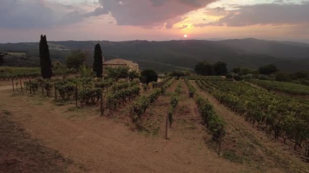 ブドウ畑のテラスでの旅行休暇 日没でイタリアのトスカーナのモンタルチーノの町で日没のパノラマの風景 — ストック動画