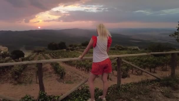 在托斯卡纳葡萄园梯田边旅行度假的生活方式的女游客 意大利Montalcino酒村葡萄园 意大利托斯卡纳地区葡萄酒区梯田的暮色 — 图库视频影像