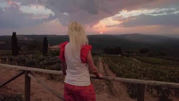 意大利托斯卡纳镇蒙塔尔奇诺的日落时分 女人看着一排长满梯田的葡萄 意大利乡村葡萄园和著名的葡萄酒产区都有托斯卡纳葡萄园 日落时意大利托斯卡纳地区 — 图库视频影像