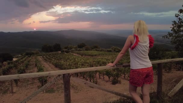 在意大利托斯卡纳镇蒙塔尔奇诺的日落时分 女人的后背看着一排排梯形的葡萄 意大利乡村葡萄园和著名的葡萄酒产区都有托斯卡纳葡萄园 日落时意大利托斯卡纳地区 — 图库视频影像