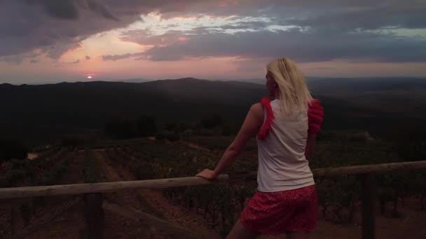 Slow Motion Γυναίκα Κοιτάζει Τις Σειρές Των Σταφυλιών Στο Ηλιοβασίλεμα — Αρχείο Βίντεο
