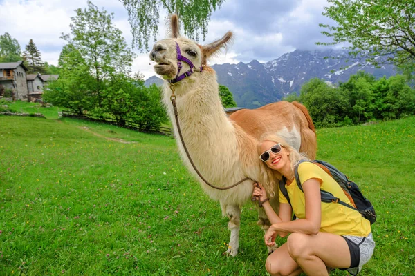 Mujer Con Llama Alpaca Suiza Centovalli Ubicación Cantón Ticino Montaje — Foto de Stock
