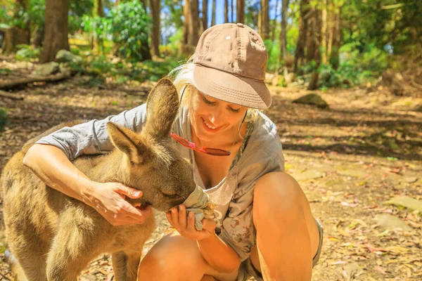 Kafkasyalı Gülümseyen Kadın Dışarıda Kanguruları Besliyor Avustralya Nın Tazmanya Ormanlarında — Stok fotoğraf