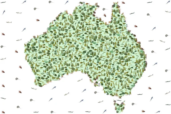 Australian Animals Australian Map Wildlife Animals Emu Echidna Tasmanian Devil — Stock Photo, Image