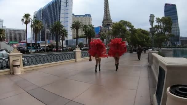 Las Vegas Nevada Usa August 2018 Showgirls Auf Dem Strip — Stockvideo
