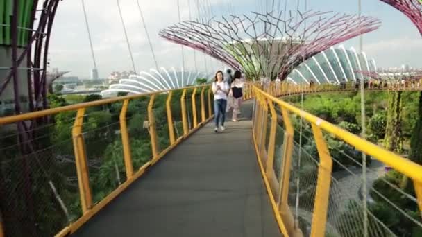 シンガポール 4月29 2018 シンガポールのマリーナベイエリアにあるスーパーツリーグローブは その印象的なスカイブリッジを持ち ベイのガーデンズで人気のある観光地です — ストック動画