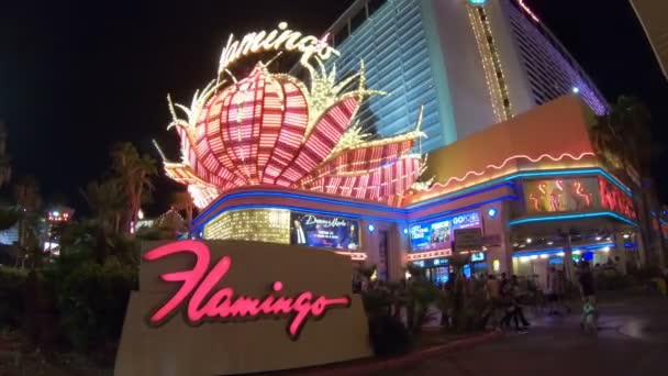 Las Vegas Nevada Usa Aug 2018 Natten Vaknar Flamingo Kasinot — Stockvideo
