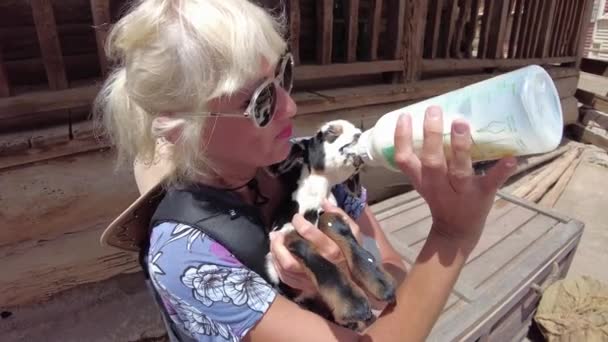 Bir Kadın Evcil Hayvan Çiftliğinde Küçük Keçiyi Bir Şişe Sütle — Stok video