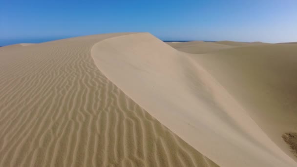 Maspalomas Dunes Gran Canaria Slående Sanddyner Sträcker Sig Flera Kilometer — Stockvideo