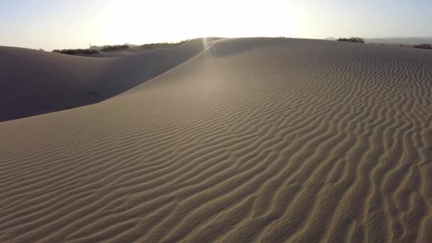 Дюны Маспаломас Гран Канария Испания Потрясающий Пустынный Пейзаж Песка Обязательное — стоковое видео