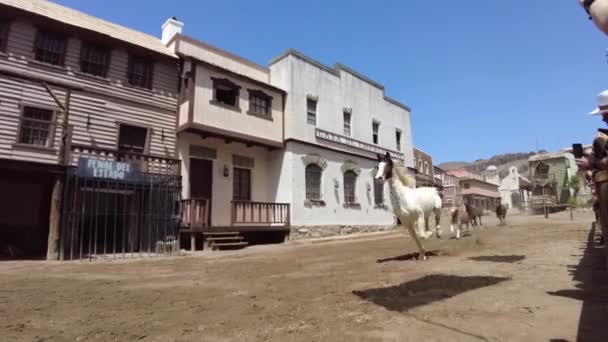 Gran Canaria Abril 2023 Parque Ciudad Sioux Tiene Demostraciones Equitación — Vídeo de stock