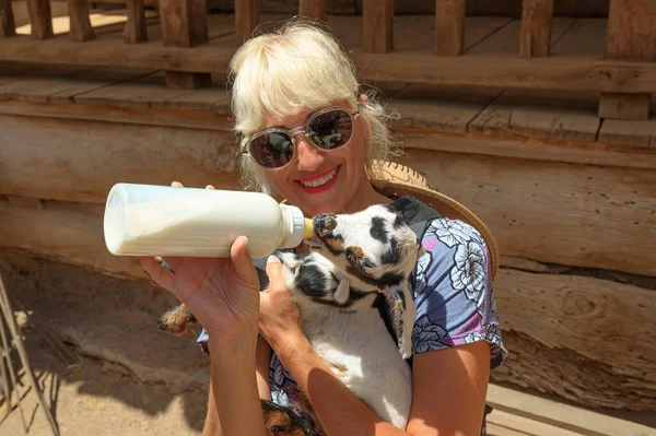Woman Feeding Small Baby Goat Bottle Milk Pet Farm Close — Stock Photo, Image