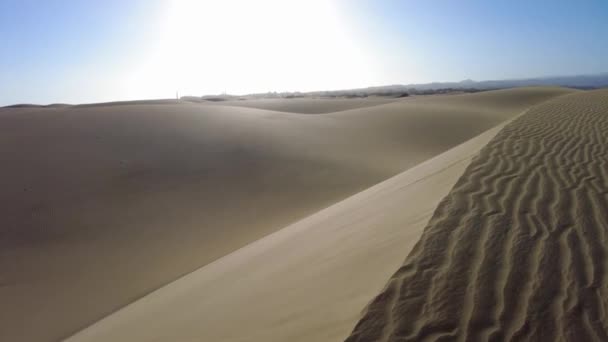 马斯帕洛马斯沙丘 Maspalomas Dunes 是一个长达数公里的沙滩 位于大加那利群岛的马斯帕洛马斯海滩附近 沙丘在微风中变换着形状 — 图库视频影像