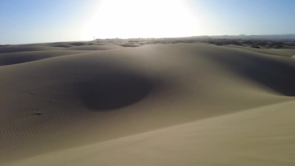Les Dunes Maspalomas Gran Canaria Sont Protégées Abritent Des Plantes — Video