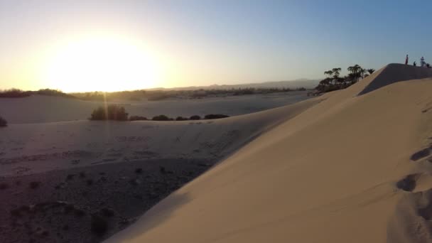 Die Dünen Von Maspalomas Umfassen Weite Hügelige Sanddünen Die Sich — Stockvideo