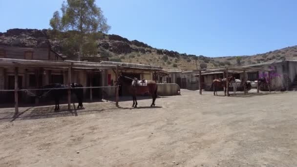 Gran Canaria Nisan 2023 Sioux City Park Yavru Keçiler Midillilerle — Stok video