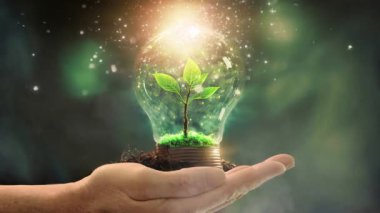 human hand holding a light bulb with a plant sprout inside. Concept of green energy saving, renewable and recycling. Ecology behavior for global warming.