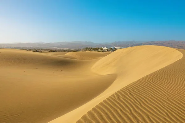 Maspalomas Dunes Sunset Several Companies Offer Camel Rides Sandboarding Tours — Stock Photo, Image