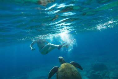 Yunanistan 'ın Mani yarımadasında Foneas Sahili' nde deniz kaplumbağası Caretta ile şnorkelle yüzen bir kadın. Su sporları aktivitesi. Yaz tatili. Snorkeler kadın komik apnesi maske ve yüzgeçlerle.