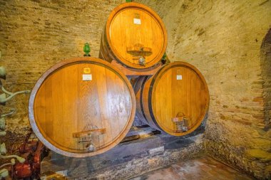 Montepulciano, Tuscany, İtalya - 4 Ekim 2021: 1700 'lerden beri eski şarap imalatçıları ailesinin bodrum katı, Montepulciano' dan Contucci Şaraphanesi. Tahtada kırmızı şarap fıçıları.