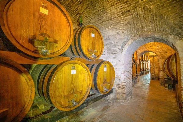 stock image Montepulciano, Tuscany, Italy - October 4, 2021: interior of wine cellar Contucci Winery of Montepulciano with barrels. Popular family of winemakers since 1700s.
