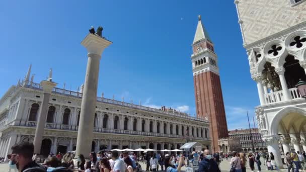 Βενετία Ιταλία Μαΐου 2021 Καμπαναριό Και Λιοντάρι Του Αγίου Μάρκου — Αρχείο Βίντεο