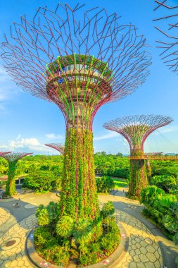 Singapur - 29 Nisan 2018: hava görünümünü Supertree Grove Gardens Bay tarafından Bizimhava ile mavi gökyüzü ile güneşli bir günde. Ünlü turistik bölgede marina bay, Singapur. Dikey vurdu.