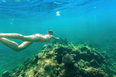 Surin Adaları, Andaman Denizi, Phuket 'in kuzeyi, Tayland' da Phang Nga 'da kırmızı bikinili bir kadın. Ko Surin Deniz Ulusal Parkı 'nda yüzme, sualtı sahnesi. Watersport etkinliği.